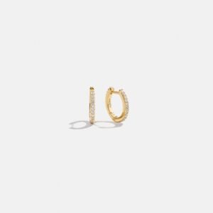 Niata 18K Gold Earrings - 11MM