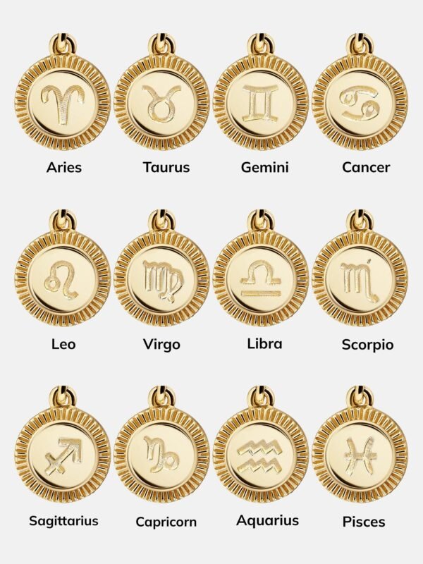 Cluster Charm Necklace - Paperclip Chain