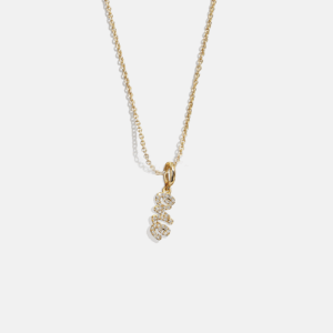 Mini Pavé Script Cluster Custom Nameplate Necklace - 1 Name